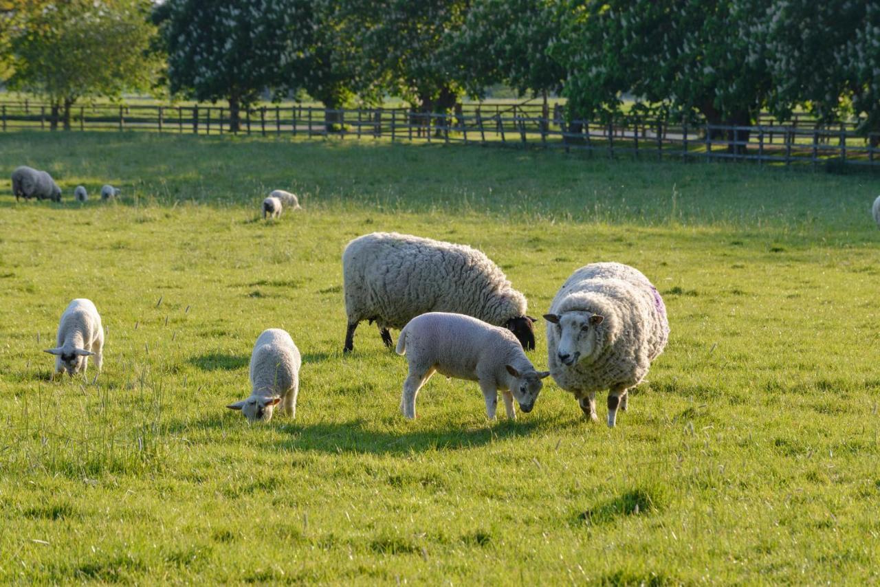 Cambridge Country Cottages Dış mekan fotoğraf